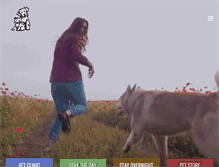 Tablet Screenshot of cannonvalleyvet.com